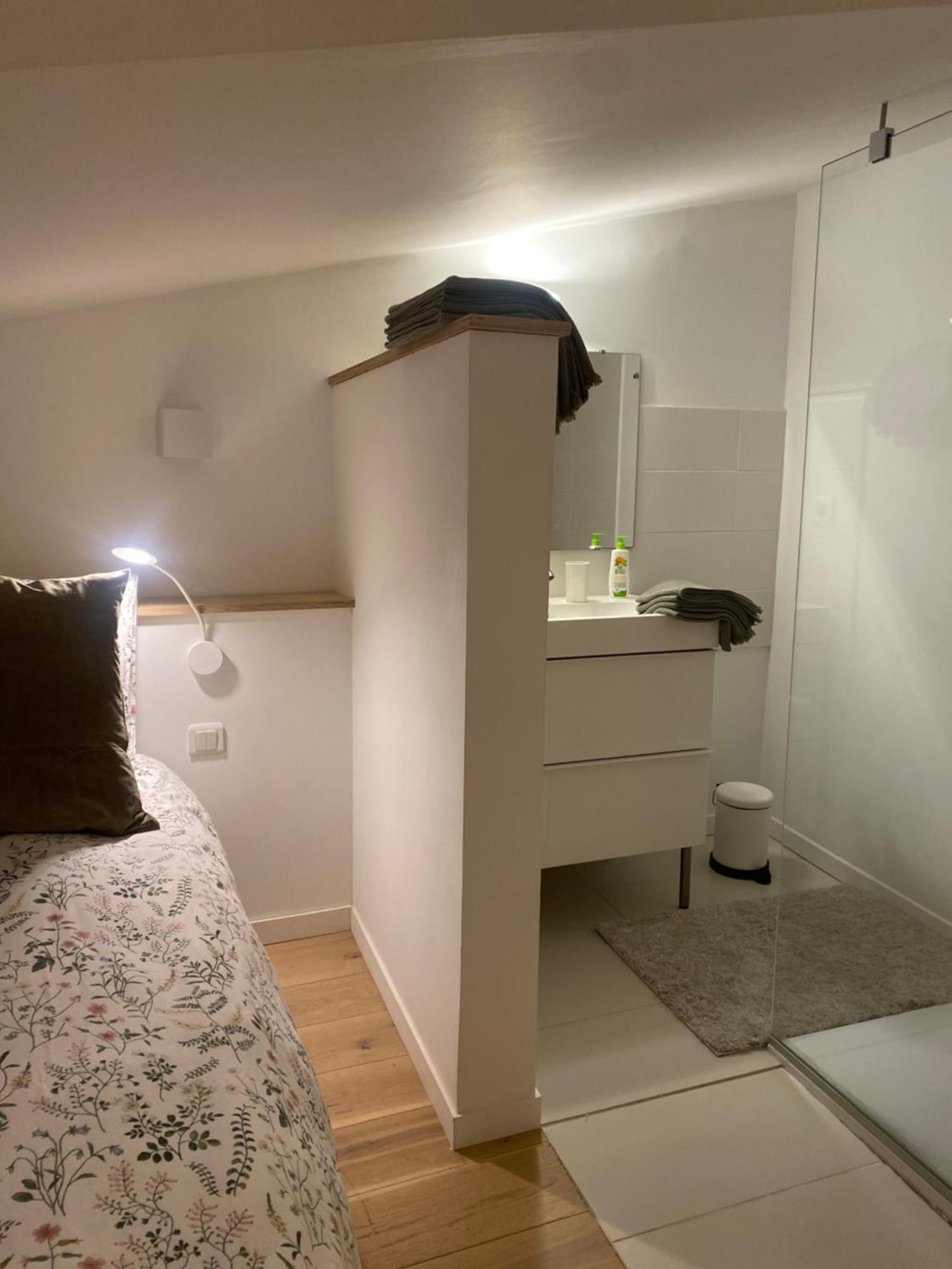 Duplex Aux Carmes Διαμέρισμα Τουλούζη Εξωτερικό φωτογραφία